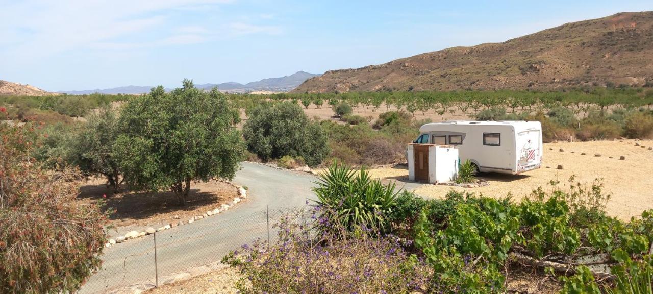 Bed and Breakfast Cortijo Esperanza Huércal-Overa Exterior foto